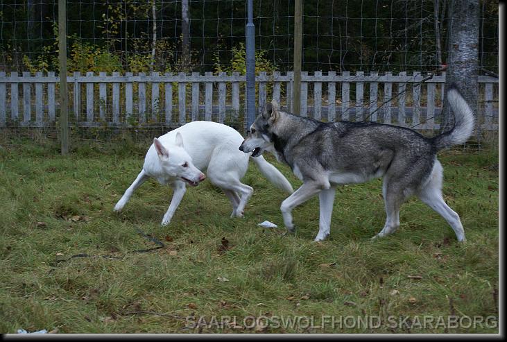 You have reached the last slide